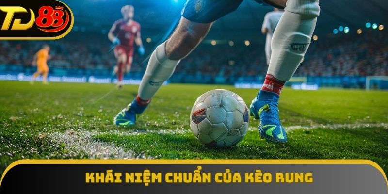 Cần hiểu chính xác kèo rung là gì trước khi tham gia 